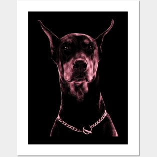 Doberman stare design Posters and Art